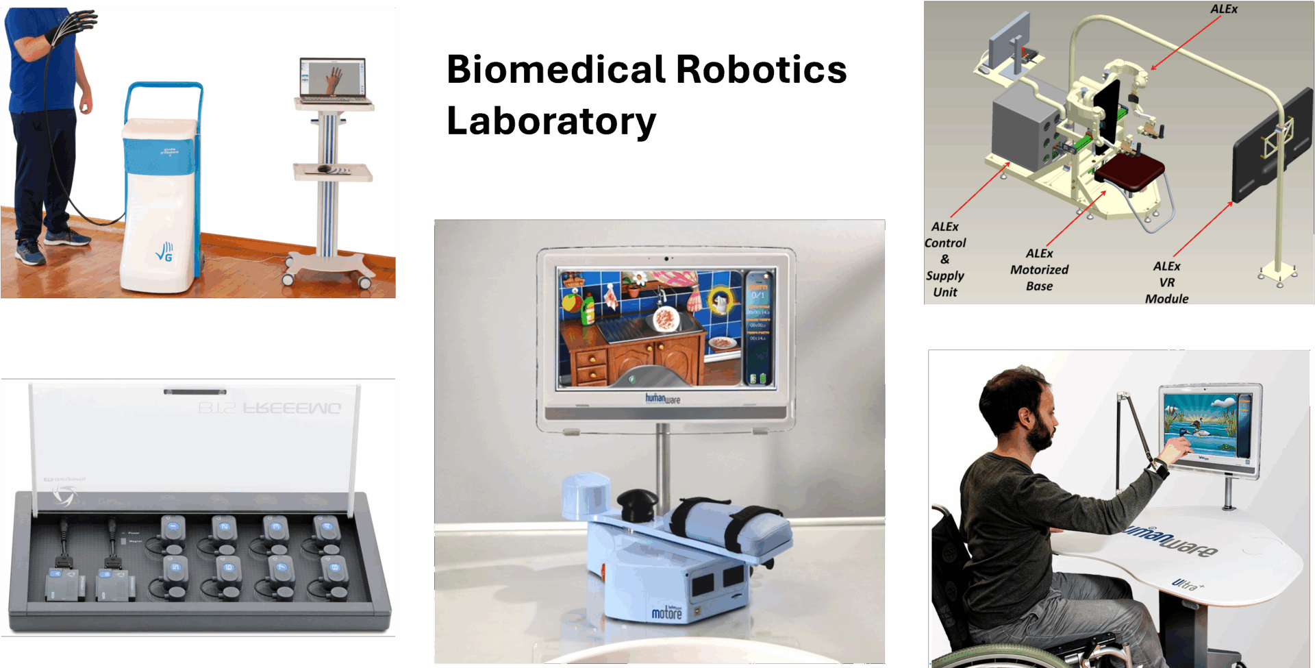BIOROB Laboratory – Biomedical Robotics - BRIEF